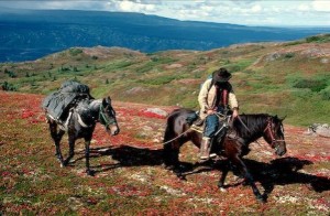Horseback travel in Alaska