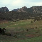 A glance at the Big Elk Meadow