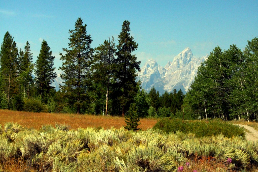The Tetons are ever present