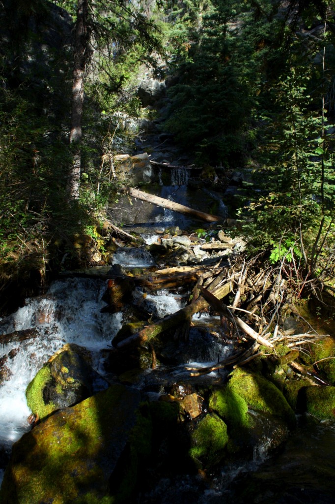 Lost Creek Falls