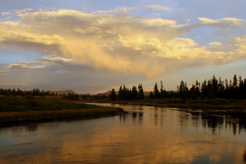 Madison River