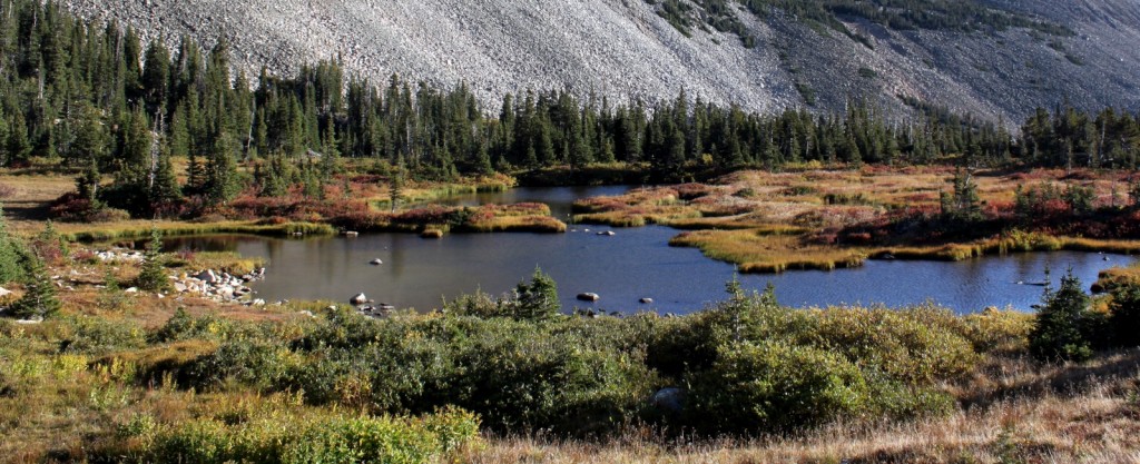 Some of the many marshes between Blue and Mitchel Lakes