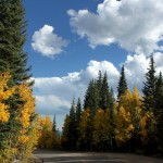 Spectacular colors on Brainard Lake Road 