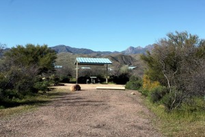 cholla-campground