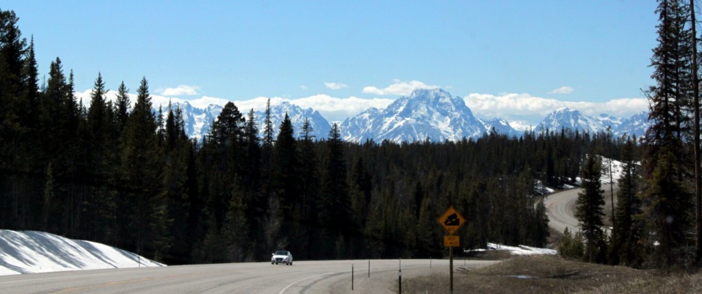 Our firt view of the Tetons, only 20 miles to go